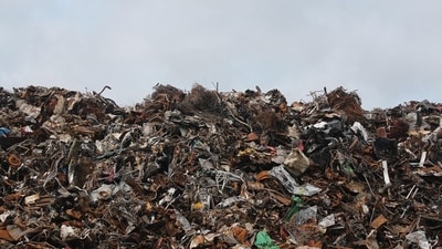 The NGT’s order comes after the tribunal took suo motu cognisance of the case following news reports and several complaints against the TMC for dumping municipal waste in eco-sensitive zones. (Representative) The NGT’s order comes after the tribunal took suo motu cognisance of the case following news reports and several complaints against the TMC for dumping municipal waste in eco-sensitive zones. (Representative)