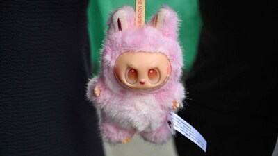 Labubu doll was spotted in Russian Su-34 plane. (AFP) Labubu doll was spotted in Russian Su-34 plane. (AFP)