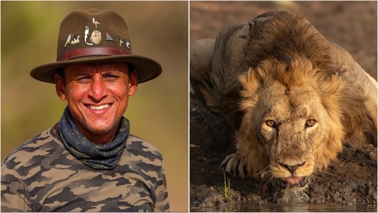 Patience and observation are keys to successful wildlife photography, says Hardik Shelat. (Instagram/@hardik_shelat_photography)