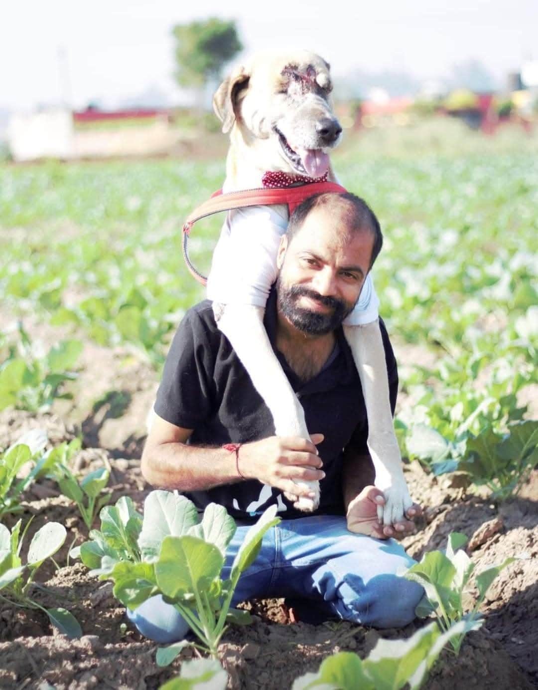 Late Vikas Luthra, founder of Furever Friends Foundation, with a rescued dog (HT Photo) Late Vikas Luthra, founder of Furever Friends Foundation, with a rescued dog (HT Photo)