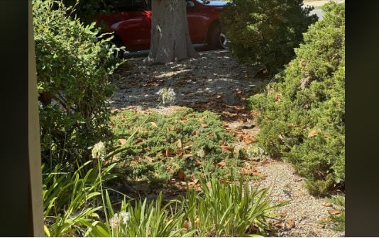 A cat is sleeping somewhere in this viral image. Can you spot it in 5 seconds? (Reddit)