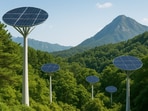 Amid forest shade, solar trees gather energy for South Korea, showing how innovation and ecology might coexist going forward.