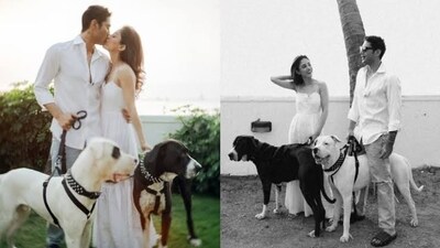 International Dog Day | Prateik Smita Patil & Priya Banerjee : Each dog deserve a forever home International Dog Day | Prateik Smita Patil & Priya Banerjee : Each dog deserve a forever home