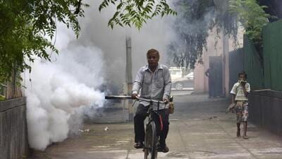 MCD officials said they have intensified the drive against mosquito borne diseases (HT Archive) MCD officials said they have intensified the drive against mosquito borne diseases (HT Archive)