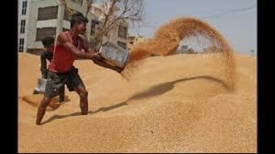 The association also requested fixed combine harvesting hours from 10 am to 6 pm to manage moisture content effectively. The association also requested fixed combine harvesting hours from 10 am to 6 pm to manage moisture content effectively.