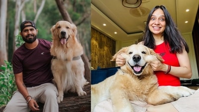 International Dog Day: Spotlighting the pawsh life of dog influencers International Dog Day: Spotlighting the pawsh life of dog influencers