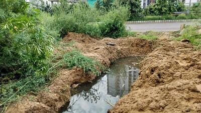 The damaged green belt. (Parveen Kumar/HT)