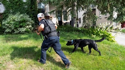 A K-9 dog searches a front yard, after a shooting at Annunciation Church, which is also home to an elementary school, in Minneapolis, Minnesota, August 27. (REUTERS)
