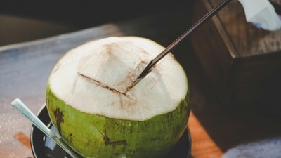 Dr Sethi shared details of coconut water's calorie content and provided a recommended daily intake for healthy adults, with a caveat for individuals with pre-existing conditions. (Pexels) Dr Sethi shared details of coconut water's calorie content and provided a recommended daily intake for healthy adults, with a caveat for individuals with pre-existing conditions. (Pexels)