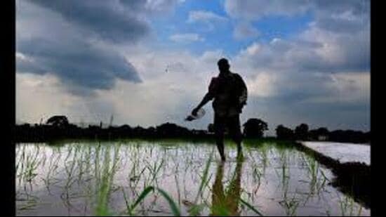 Reacting to the development, Bharatiya Kisan Union (BKU) (Tikait) state president Rattan Mann said that in fact, the loss is double for the farmers.