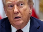 Since he returned to the presidency in January, Donald Trump has invoked the International Emergency Economic Powers Act (IEEPA) to impose tariffs on almost all US trading partners.