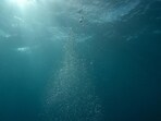 Scientists are investigating the causes of strong earthquakes and tsunamis in the Japan Trench using the Chikyu drilling ship. Scientists are investigating the causes of strong earthquakes and tsunamis in the Japan Trench using the Chikyu drilling ship.