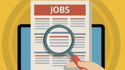 Employment Employment