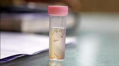 Residents allege that wastewater from the dyeing unit in the village is seeping into the groundwater. (HT Photo) Residents allege that wastewater from the dyeing unit in the village is seeping into the groundwater. (HT Photo)
