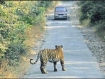 The leopard was discovered around 6.30 am, approximately one kilometre from the Pali police post on the Faridabad side. (Representative photo) The leopard was discovered around 6.30 am, approximately one kilometre from the Pali police post on the Faridabad side. (Representative photo)