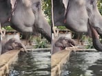 Social media melted after a video showed a baby elephant mimicking its mother’s every move while drinking.