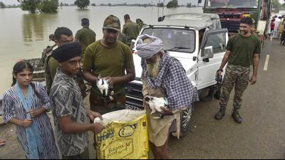 Army personnel and locals carry rescued rabbits at a flood-affected village in Kapurthala, Punjab on Saturday. (PTI) Army personnel and locals carry rescued rabbits at a flood-affected village in Kapurthala, Punjab on Saturday. (PTI)
