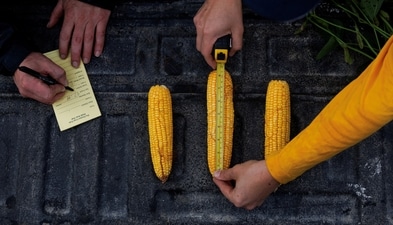 Photo: AP FILE Photo: AP FILE