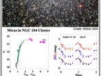 , Mira, also known as Omicron Ceti, is a famous star that changes its brightness regularly. These are giant stars in the last stages of their life. (SOURCED)