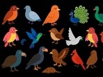 Can you solve this puzzle by finding the bird that cannot fly.