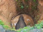 The elephant was found inside the well, located in the compound owned by a resident of Kottappadi. The elephant was found inside the well, located in the compound owned by a resident of Kottappadi.