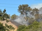The incident has been labelled "Edgewood/280 Fire" The incident has been labelled "Edgewood/280 Fire"