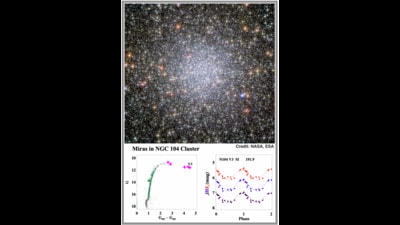 , Mira, also known as Omicron Ceti, is a famous star that changes its brightness regularly. These are giant stars in the last stages of their life. (SOURCED) , Mira, also known as Omicron Ceti, is a famous star that changes its brightness regularly. These are giant stars in the last stages of their life. (SOURCED)