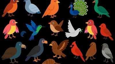 Can you solve this puzzle by finding the bird that cannot fly. Can you solve this puzzle by finding the bird that cannot fly.