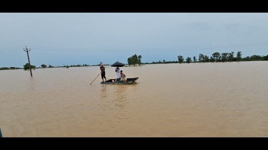 Flood-ravaged Punjab received 253.7 mm of rain in August, making it the wettest month in 25 years, according to the data shared by the Indian Meteorological Department (IMD) on Sunday.