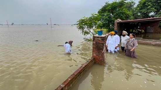 A flood-affected area in Punjab. (PTI)