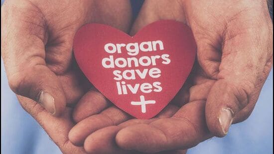 The retrieved organs were transplanted at PGIMER as well as shared with other leading hospitals in the country. (HT)