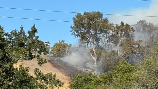 The incident has been labelled "Edgewood/280 Fire" (Facebook/CAL FIRE CZU San Mateo-Santa Cruz Unit)