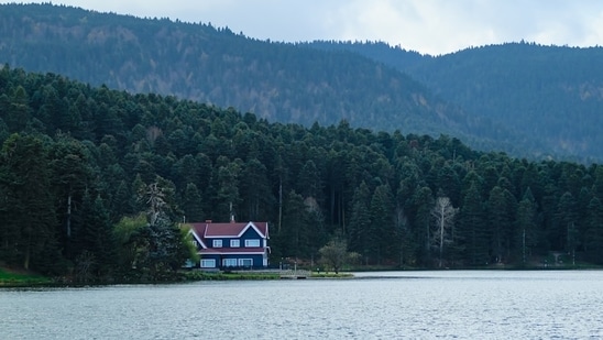 America’s most expensive home hits the market with $300 million price tag. (Representative image/Unsplash)