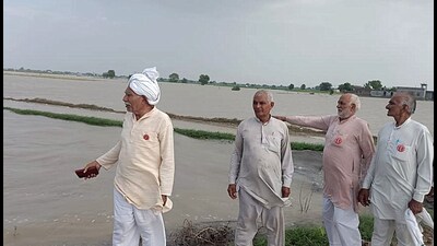 Farmers looking at submerged crops in Bhaini Maharajpur village of Meham subdivision in Rohtak on Monday. (Manoj Dhaka/HT) Farmers looking at submerged crops in Bhaini Maharajpur village of Meham subdivision in Rohtak on Monday. (Manoj Dhaka/HT)