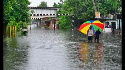 Several divisional offices and grid stations were inundated, with rainwater seeping into control rooms, equipment yards and underground cable chambers. (Gurpreet Singh/HT) Several divisional offices and grid stations were inundated, with rainwater seeping into control rooms, equipment yards and underground cable chambers. (Gurpreet Singh/HT)