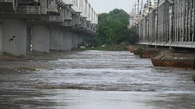 The Yamuna River in New Delhi. (HT PHOTO) The Yamuna River in New Delhi. (HT PHOTO)
