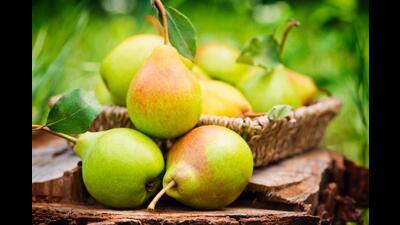 The partial reopening of the Srinagar–Jammu National Highway on Monday has rekindled hopes among fruit growers, but concerns remain over hundreds of apple and pear-laden trucks stranded for more than a week. (Shutterstock/ Representational image) The partial reopening of the Srinagar–Jammu National Highway on Monday has rekindled hopes among fruit growers, but concerns remain over hundreds of apple and pear-laden trucks stranded for more than a week. (Shutterstock/ Representational image)