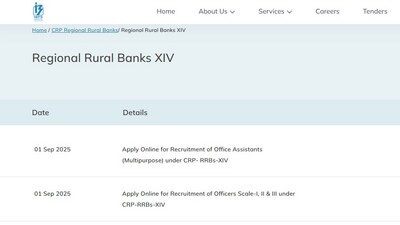 IBPS RRB PO, Clerk 2025 registration begins at ibps.in (Official website, screenshot)