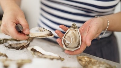 What is Vibrio vulnificus? 6 die in Louisiana from eating oysters contaminated with flesh-eating bacteria (Unsplash - representational image) What is Vibrio vulnificus? 6 die in Louisiana from eating oysters contaminated with flesh-eating bacteria (Unsplash - representational image)