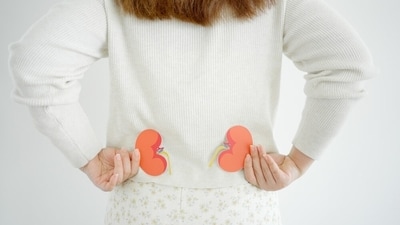 Strategies to control renal hypertension. (Shutterstock) Strategies to control renal hypertension. (Shutterstock)