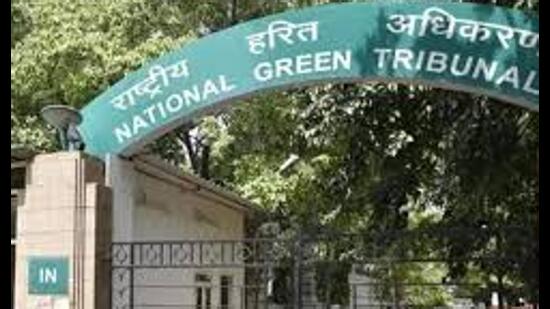 NGT has directed the DM to file the affidavit at least a week before the next hearing on November 6. (Sourced)