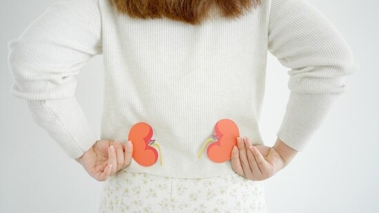 Strategies to control renal hypertension.(Shutterstock)