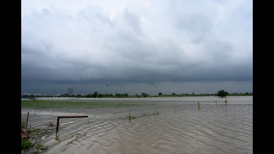 Fields near Sector 167 of Noida under the Yamuna’s waters on Tuesday.() (Sunil Ghosh/HT) Fields near Sector 167 of Noida under the Yamuna’s waters on Tuesday.() (Sunil Ghosh/HT)