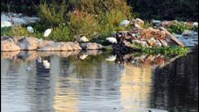 Pune, India - Feb. 27, 2018: Birds seen on Polluted mula Mutha river at Dr Salim Ali Bird Sanctuary in Pune, India, on Tuesday, February 27, 2018. (Photo by Shankar Narayan/HT PHOTO) Pune, India - Feb. 27, 2018: Birds seen on Polluted mula Mutha river at Dr Salim Ali Bird Sanctuary in Pune, India, on Tuesday, February 27, 2018. (Photo by Shankar Narayan/HT PHOTO)