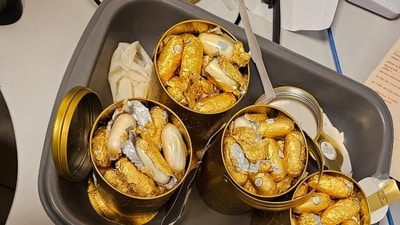 Cocaine seized in chocolate boxes at the Chennai airport. (Photo: Sourced) Cocaine seized in chocolate boxes at the Chennai airport. (Photo: Sourced)