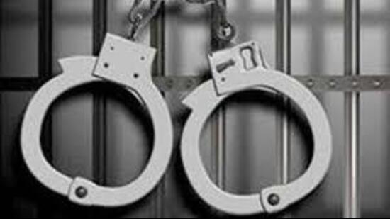 ASI Rajinder Kumar, the investigating officer, confirmed that the accused driver, identified as Satwant Singh, had been arrested. (HT Photo for representation)