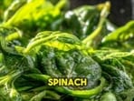 Vegetables like carrots, radish, and spinach are lower in FODMAPs, making them potentially easier to digest for individuals with IBS or those experiencing bloating. (Instagram/ the stomach doc) Vegetables like carrots, radish, and spinach are lower in FODMAPs, making them potentially easier to digest for individuals with IBS or those experiencing bloating. (Instagram/ the stomach doc)