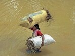 Six districts were categorised as ‘deficient’. (Representative photo | PTI) Six districts were categorised as ‘deficient’. (Representative photo | PTI)