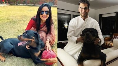TMC MP Mahua Moitra has sought shared custody of the dog with SC lawyer Jai Anant Dehadrai. (Instagram) TMC MP Mahua Moitra has sought shared custody of the dog with SC lawyer Jai Anant Dehadrai. (Instagram)