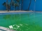BMC plans PPP model for 8 of its 13 swimming pools BMC plans PPP model for 8 of its 13 swimming pools